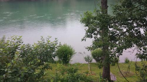 Vikendica Pored Drine Fo?a