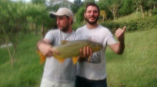 Fazenda Vale Dos Dourados