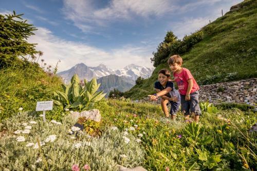 Berghotel Schynige Platte