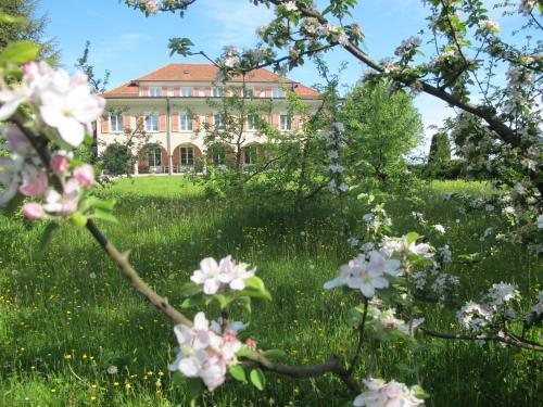Hostal Burgb�hl