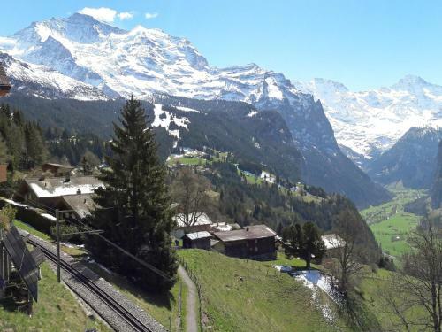 Apartment Chalet Bluemew�g