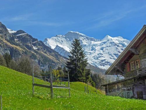 Chalet Star