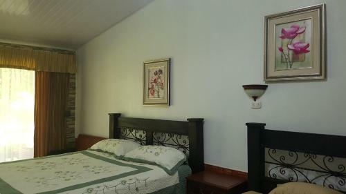 Hotel Centro Turistico Neily