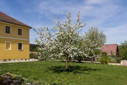 Apartm�n Zahr�dka