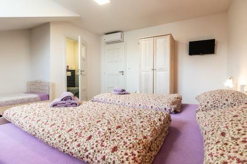 Hostal Vina?stv� V�mola