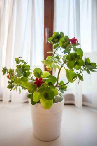 Hostal Agropenzion U Bartousku