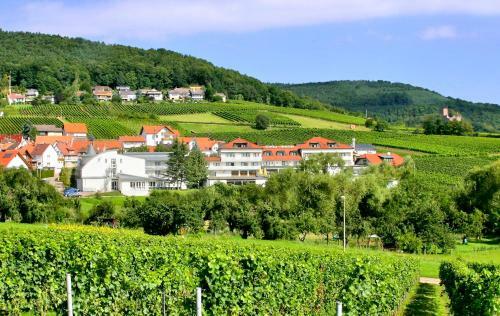 Hotel S�dpfalz-terrassen