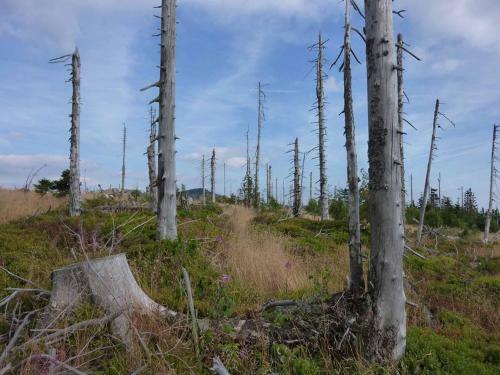 Ferienhaus Hornauer