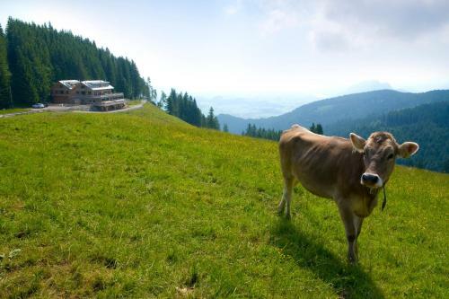 Hotel B�cklodges