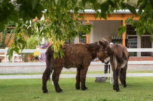 Garni Hotel Lavendelhof