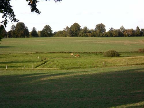 Alte Schmiede