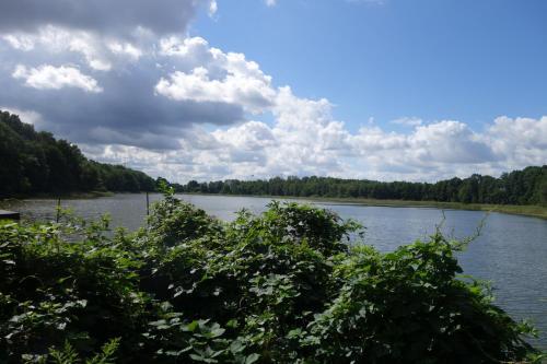 Ferienhaus Naturnah