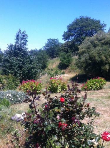 Bed & Breakfast Chambre D'hotes