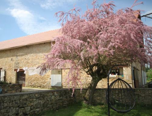 Bed & Breakfast La Maison Du Bonheur
