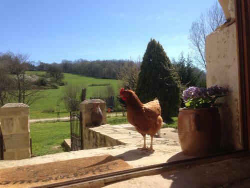 Bed & Breakfast La Maison Du Bonheur