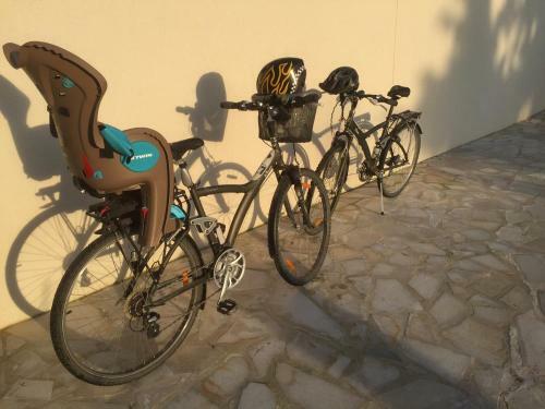 Bed & Breakfast Les Pr�mices De La For�t