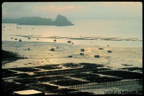 Le P�cheur, Cancale