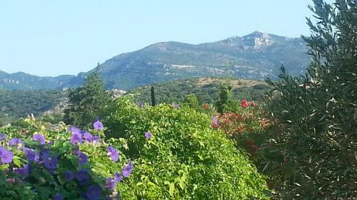 Villa Aventure D'oc