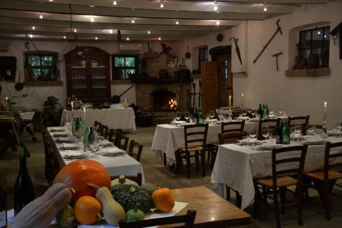 Agroturismo Agriturismo Torrazzetta