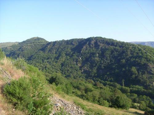 Les Ruches C�venoles