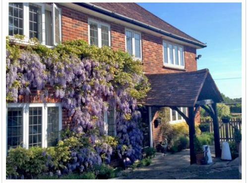 Bed & Breakfast Chadwell Hill Farm