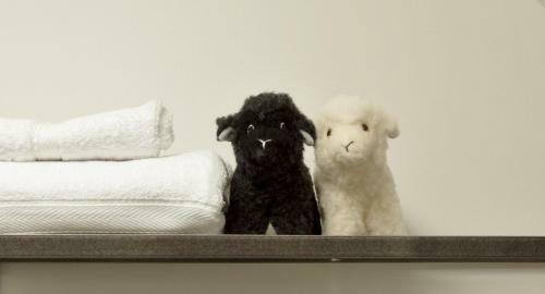 Bed & Breakfast Sheepfold