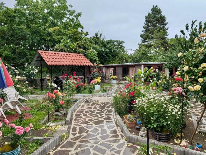 Hostal Artist's House
