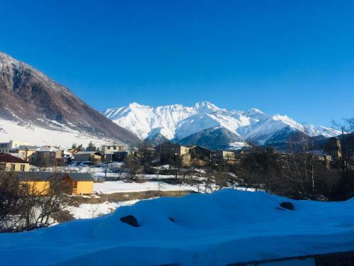 Hostal Guesthouse Alpenrose