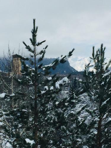 Hostal Guesthouse Alpenrose