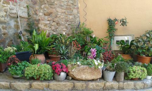 Apartamento Casa Lola
