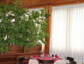 Bed & Breakfast Posada Real Quinta San Jose