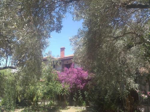 Apartamento House Katia