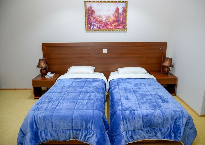 Hotel Arta Palace