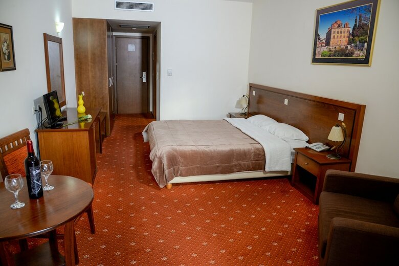 Hotel Arta Palace