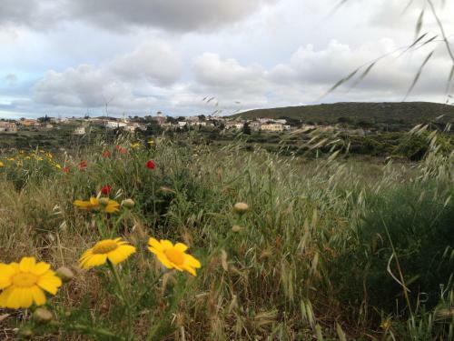 Hostal Villa Lemonia - Guest House