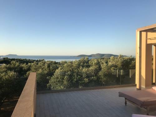 Kavourina