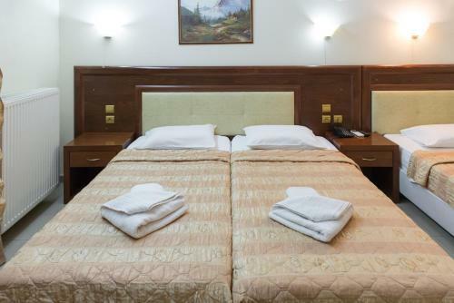 Hotel Aigli