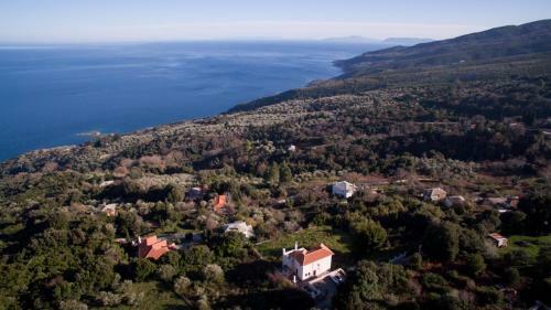 Villa George