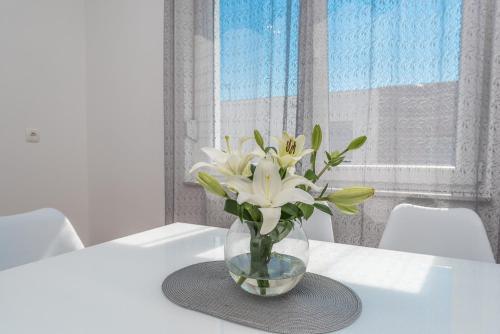 Apartamento Andy 2 Modern & Centrally Ap With A Pool