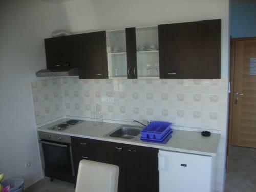 Apartments Palini?