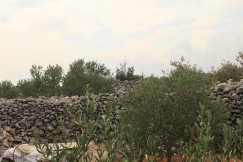 Secluded Holiday House Nevidjane, Pasman - 8529