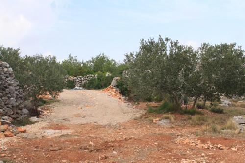 Secluded Holiday House Nevidjane, Pasman - 8529