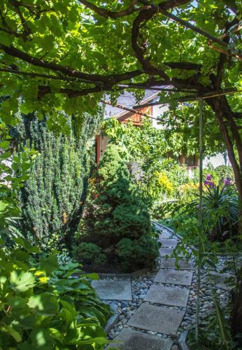 Anik� Apartman