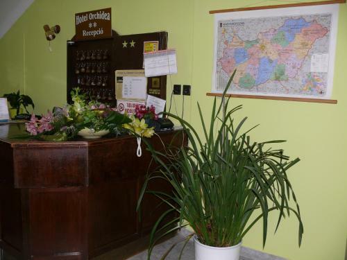 Hotel Orchidea
