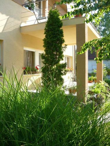 Apartamento House And Apts. In Siofok/balaton 26303