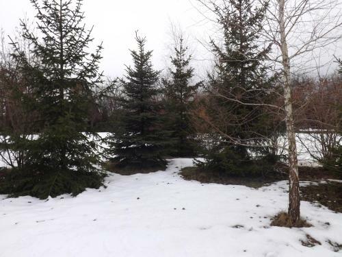 Apartamento Nagybajcsi K�rtefa Vendeghaz