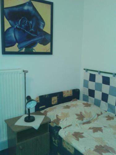Feherszeker Apartmanok