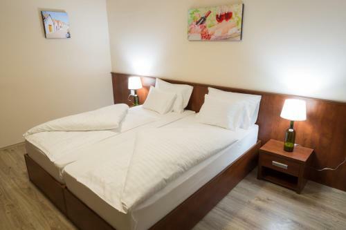 Vitis Hotel Vill�ny