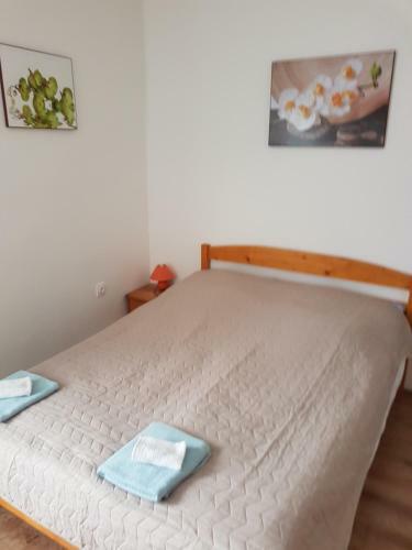 Hostal Bor�ka Vend�gh�z