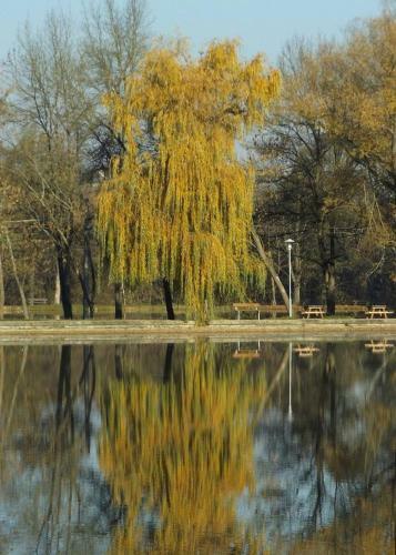 Bed & Breakfast Cseppk? Panzi�